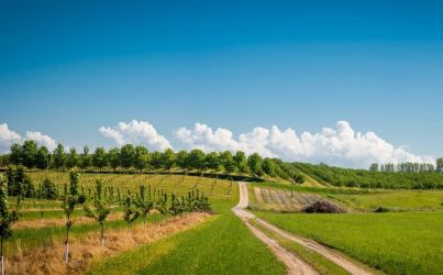 imprese agricole