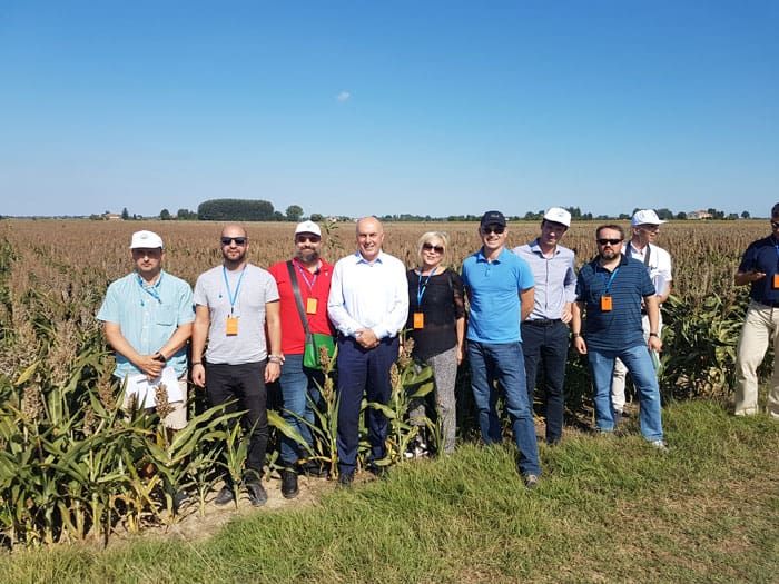 gruppo Sorgo